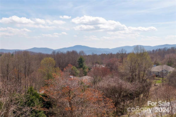 000 BERRY CREEK DRIVE, FLAT ROCK, NC 28731, photo 3 of 10