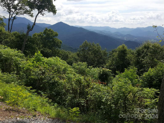 102 AMBER SKY DRIVE, WAYNESVILLE, NC 28785, photo 3 of 8