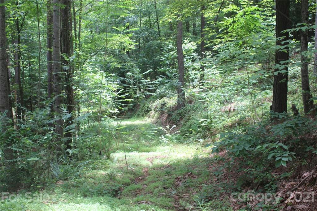 2202 ISLAND VIEW LN # 5, CONNELLY SPRINGS, NC 28612, photo 1 of 12