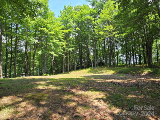 LOT 13 VISTA RIDGE ROAD, FLEETWOOD, NC 28626 - Image 1