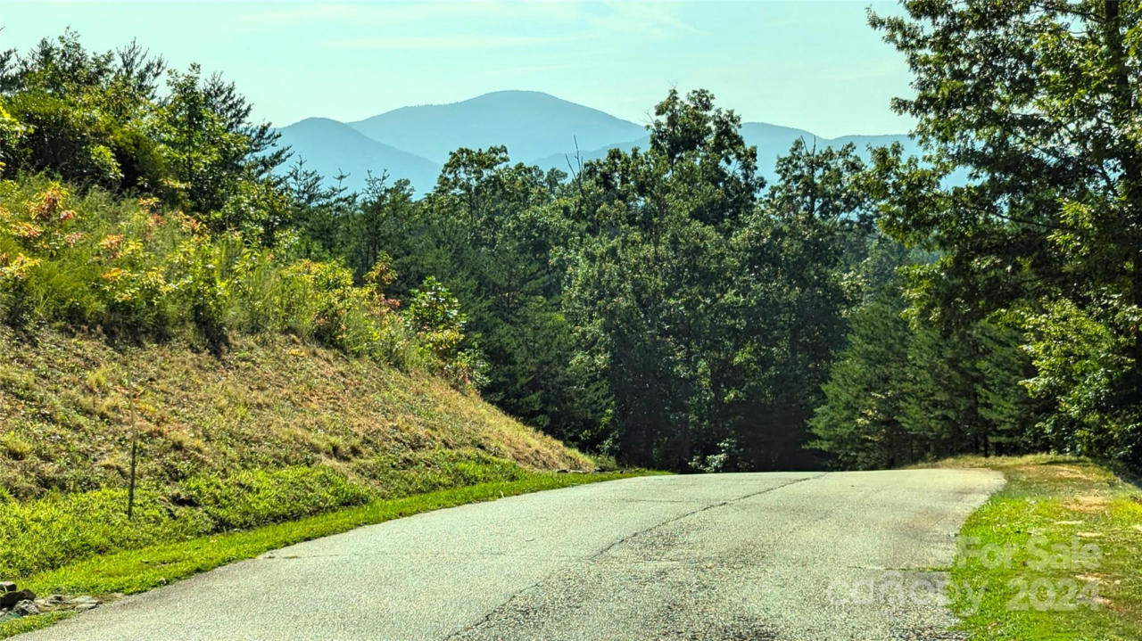 313 WILLOW TOP LN, LAKE LURE, NC 28746, photo 1 of 29