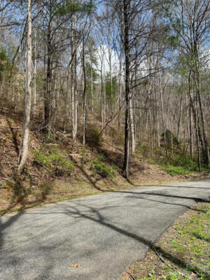 LOTS 302,304 N COUNTRY CLUB DRIVE, CULLOWHEE, NC 28723 - Image 1