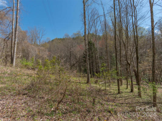 00 SHEEPBACK MOUNTAIN ROAD, MAGGIE VALLEY, NC 28751, photo 5 of 13