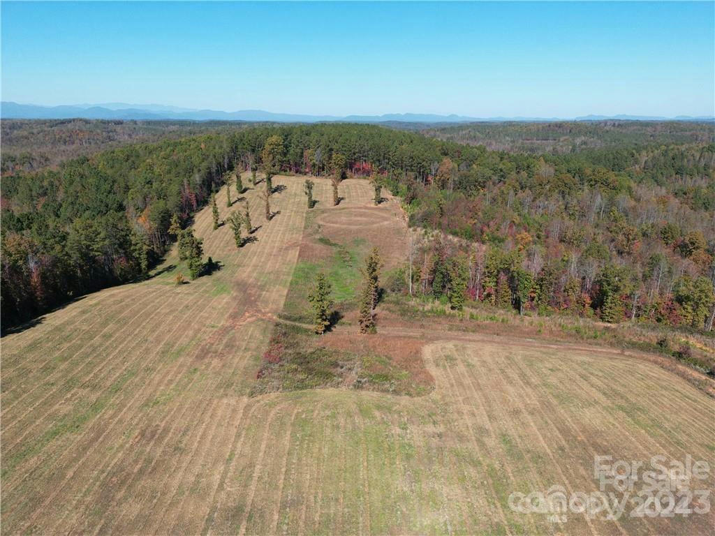 1326 STATE ROAD, MILL SPRING, NC 28756, photo 1 of 4