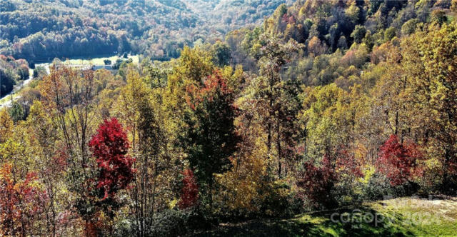 110 KINCAID LANE 110 KINCAID LANE # 114, WAYNESVILLE, NC 28785, photo 5 of 12