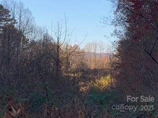 TRACTS OFF PLEASANT GROVE PLEASANT GROVE ROAD # TOTAL: 10+ ACRES, HENDERSONVILLE, NC 28739, photo 5 of 23
