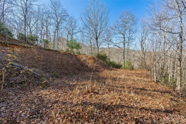 69 & 81 WINTER MOON RIDGE, SYLVA, NC 28779, photo 3 of 29