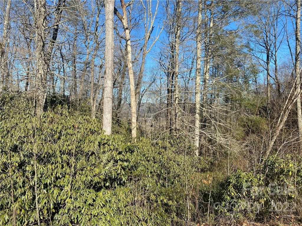 TBD PISGAH FOREST DRIVE # 10, PISGAH FOREST, NC 28768, photo 1 of 7