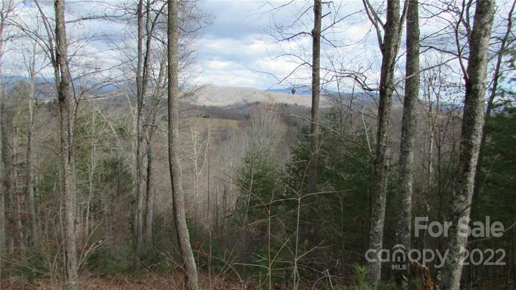 00 HIGH PEAK RIDGE # 7, BURNSVILLE, NC 28714, photo 1 of 27