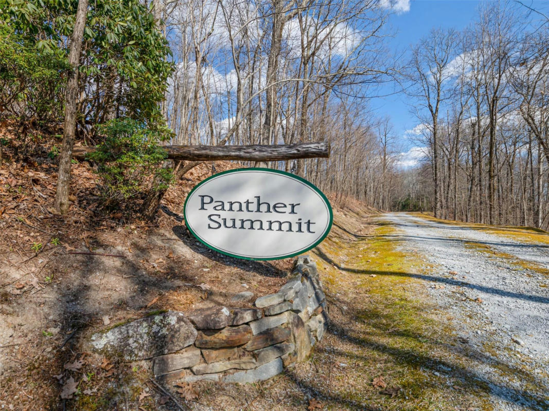 P 1&2 PANTHER SUMMIT DRIVE, LAKE TOXAWAY, NC 28747, photo 1 of 26