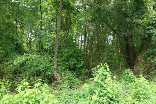 LOT 20 COMMERCIAL DRIVE, FOREST CITY, NC 28043, photo 3 of 4