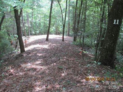 0 LAUREL MOUNTAIN DRIVE, BRASSTOWN, NC 28904, photo 2 of 7