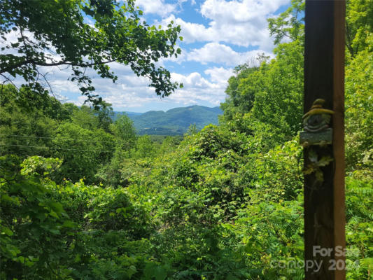 1905 CHAMBERS MOUNTAIN RD, CLYDE, NC 28721 - Image 1