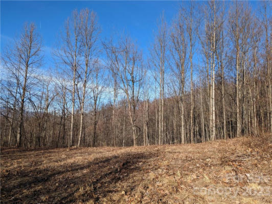 LOT T6 NORTH HAVEN DRIVE # T6, BLACK MOUNTAIN, NC 28711, photo 5 of 25
