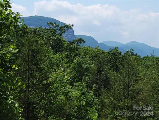 LOT 5 HIGHLAND DRIVE, LAKE LURE, NC 28746, photo 3 of 8