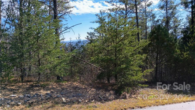 3 ACRES TOMAHAWK RIDGE DRIVE # 45/46, LENOIR, NC 28645, photo 5 of 17