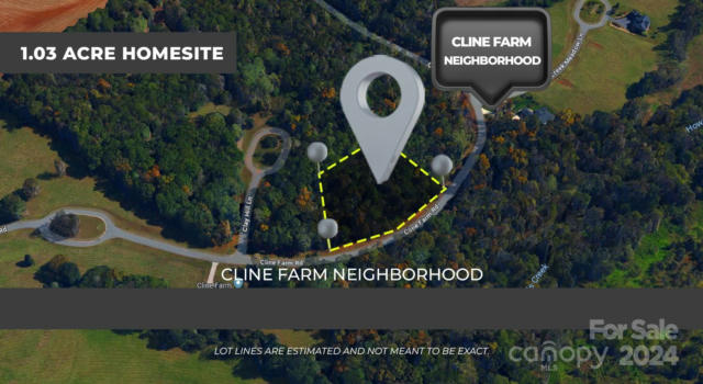 LOT 9 CLINE FARM ROAD, LINCOLNTON, NC 28092 - Image 1