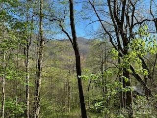 7A CHESTNUT FLATS RD # 7, WAYNESVILLE, NC 28786, photo 1 of 9