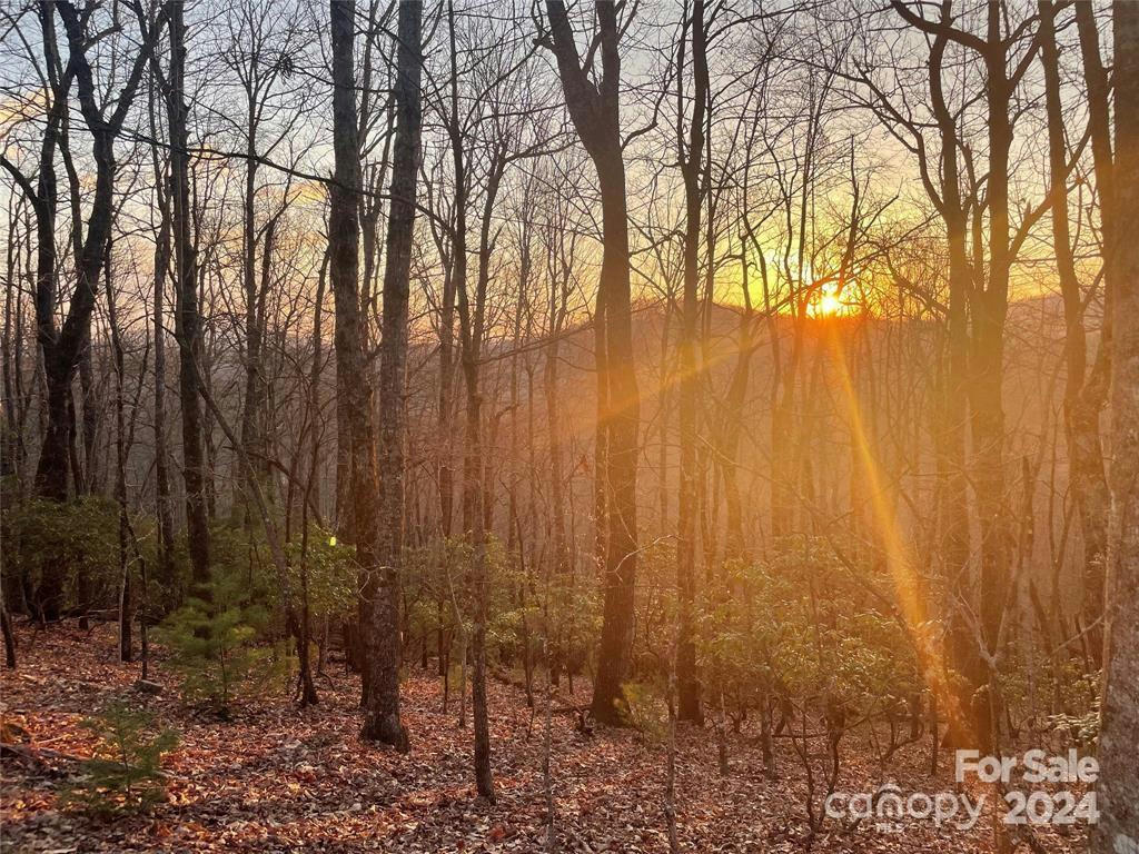 TBD CONNESTEE TRAIL, BREVARD, NC 28712, photo 1 of 5