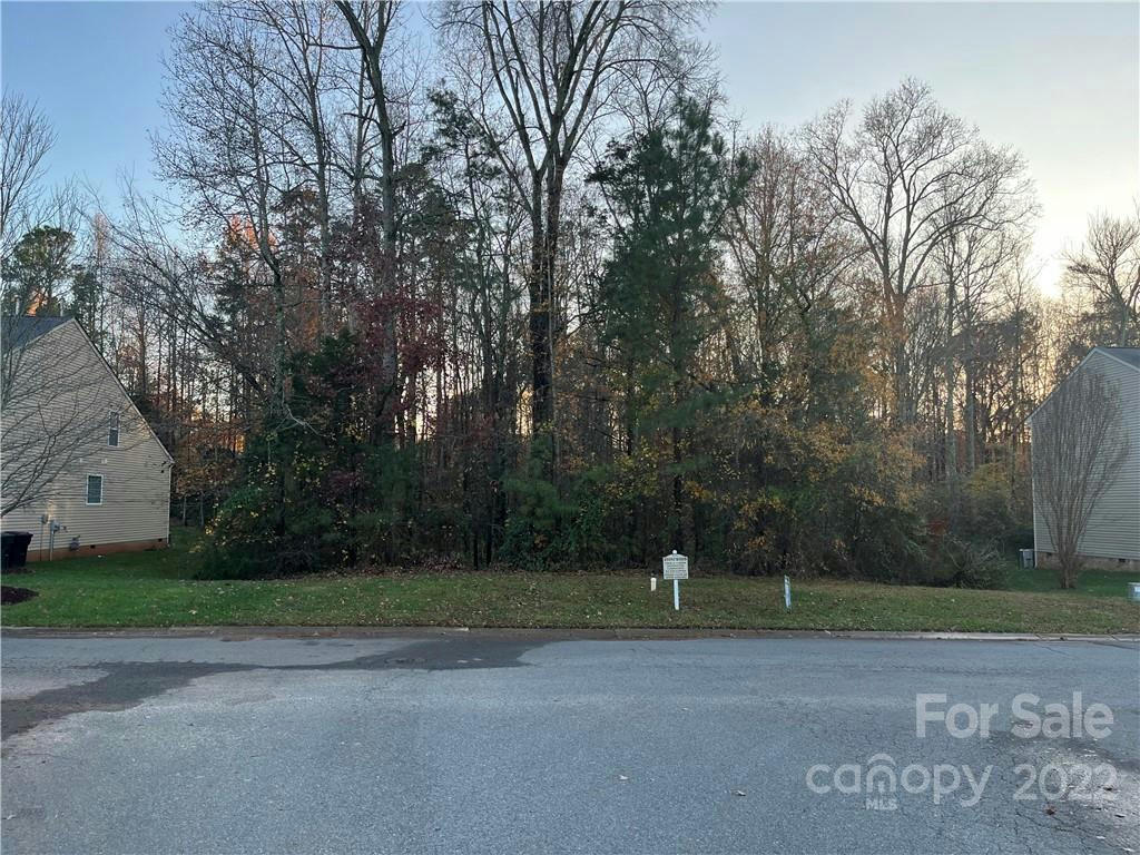 1033 MILLHOUSE DR, ROCK HILL, SC 29730, photo 1