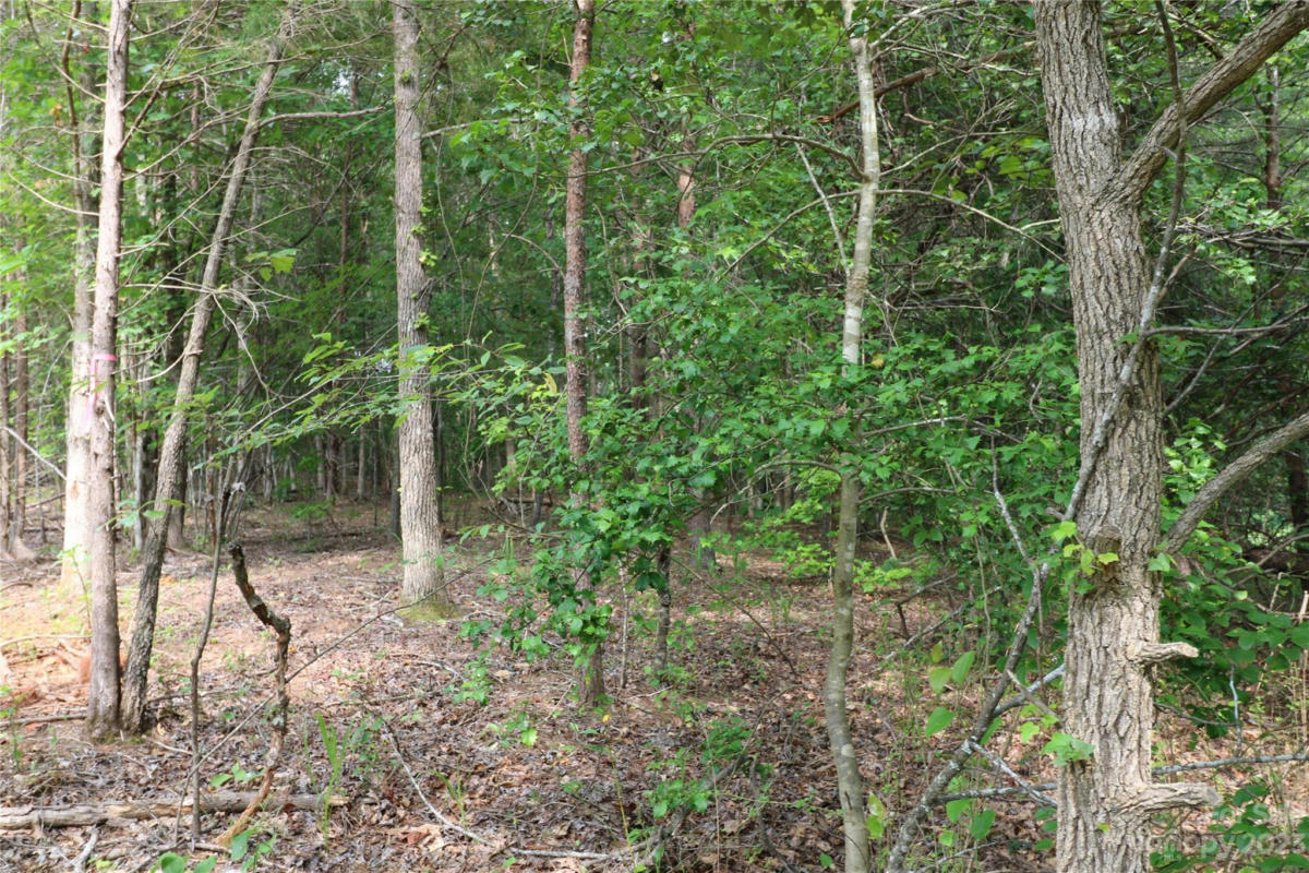 LOT 32 WHISPERING PINES CIRCLE, FOREST CITY, NC 28043, photo 1 of 3