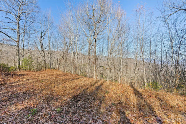 69 & 81 WINTER MOON RIDGE, SYLVA, NC 28779, photo 2 of 29