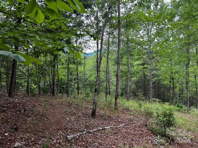 LOT 11 LAKE ADGER PARKWAY, MILL SPRING, NC 28756, photo 1 of 13