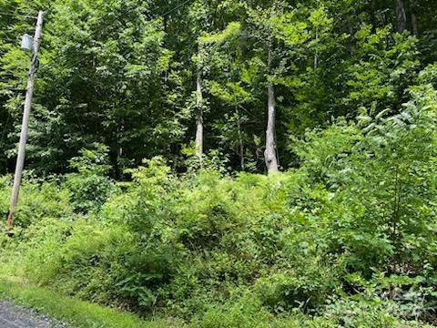 19 GARDENSIDE RD, MARS HILL, NC 28754, photo 1 of 26