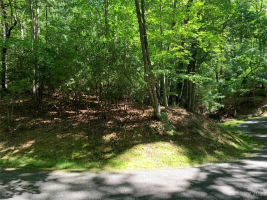 LOT 603C KILDRUMMY DRIVE, PISGAH FOREST, NC 28768, photo 5 of 9