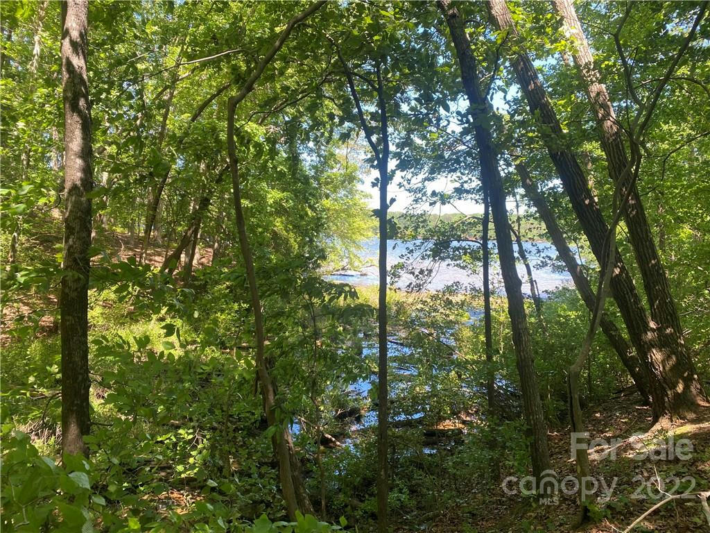 LOT 90 EDGEWATER DRIVE # 90, NORWOOD, NC 28128, photo 1 of 13