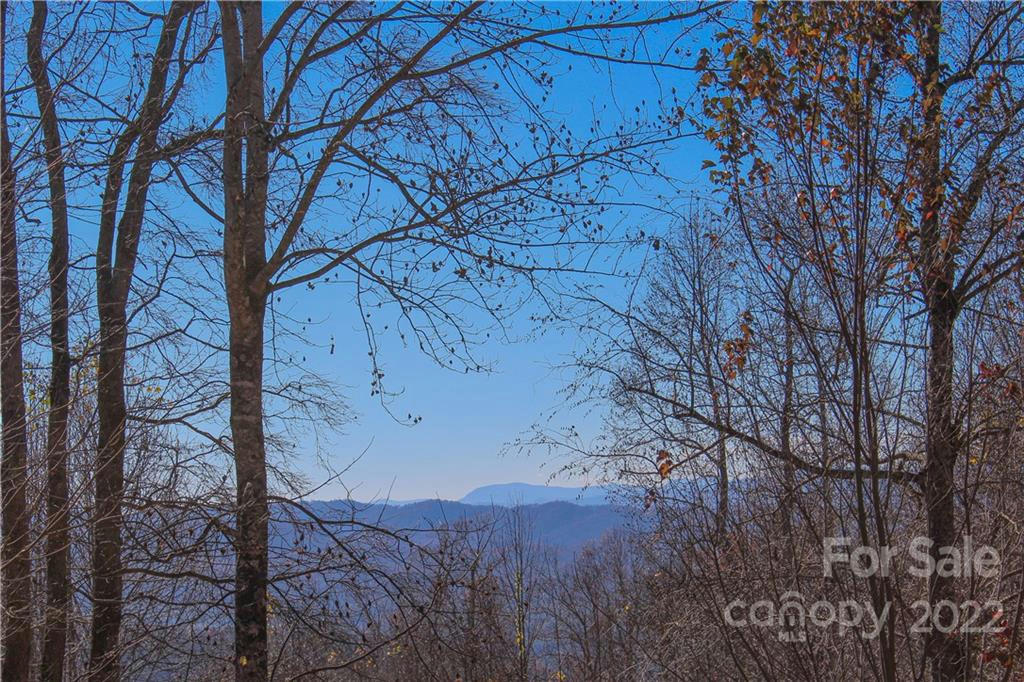 630 SOMERSBY PKWY # 1, HENDERSONVILLE, NC 28739, photo 1 of 15