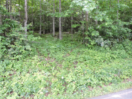 00 SOUTH TOE RIVER ROAD # LOT 2, BURNSVILLE, NC 28714, photo 3 of 28