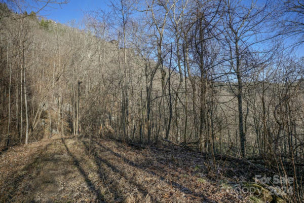 TBD SCENIC, BLOWING ROCK, NC 28605, photo 4 of 26