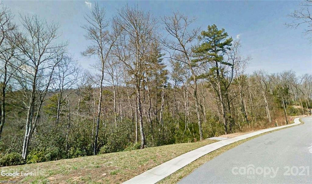 TBD SPRINGHOUSE TRAIL # 10, BREVARD, NC 28712, photo 1