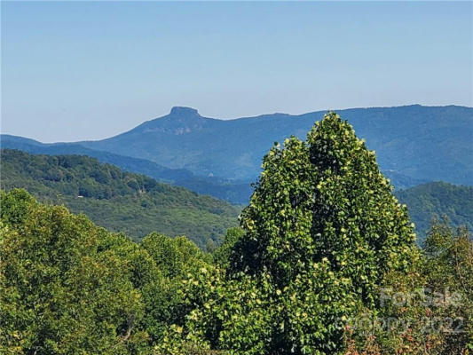 TBD OSBORNE KNOB ROAD, LITTLE SWITZERLAND, NC 28749 - Image 1