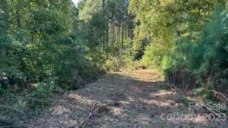 2073 ISLAND VIEW LN, CONNELLY SPRINGS, NC 28612, photo 5 of 7