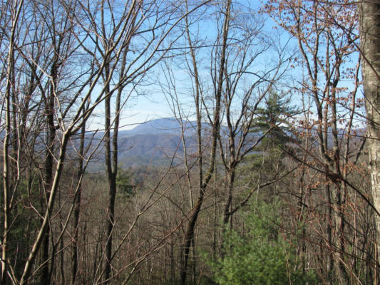 TBD PEPPERVINE CIRCLE # 99, ROSMAN, NC 28772 - Image 1