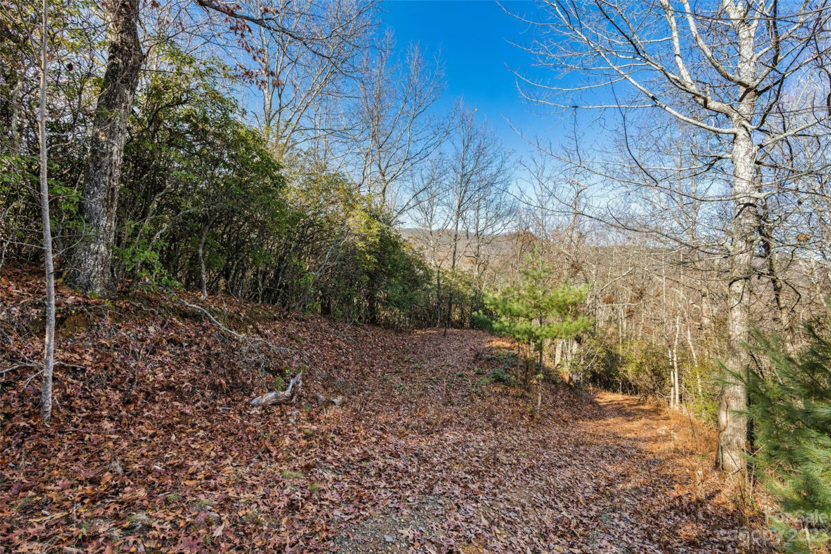 69 & 81 WINTER MOON RIDGE, SYLVA, NC 28779, photo 1 of 29