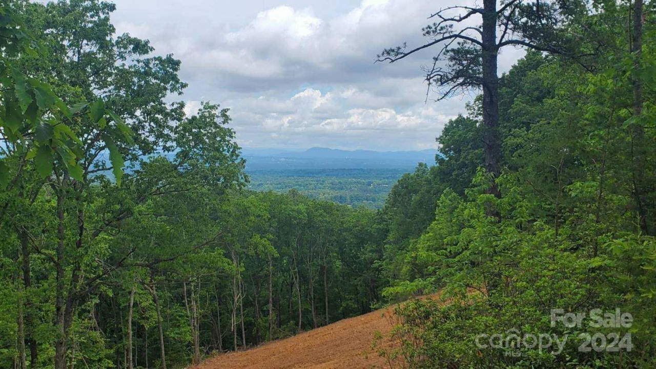 5631 MINERAL SPRINGS MOUNTAIN AVE, VALDESE, NC 28690, photo 1 of 4