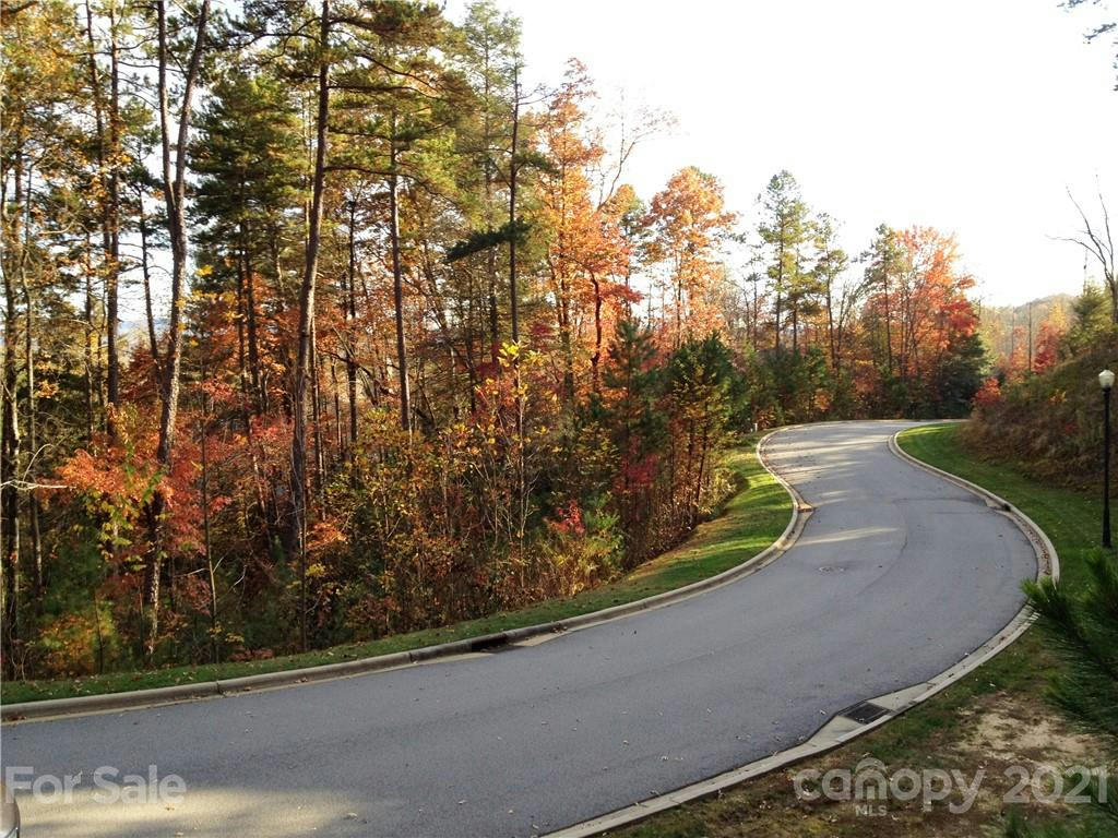 UPPER CAMPTOWN ROAD # M110, BREVARD, NC 28712, photo 1 of 2