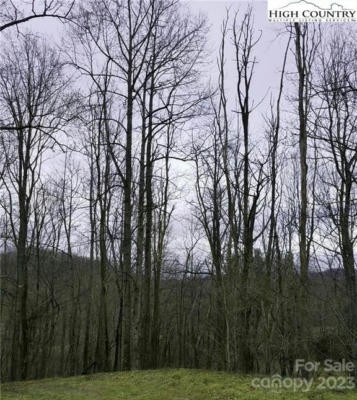 LOT 10 & RESERVED AREA YASMINE LANE, VALLE CRUCIS, NC 28692, photo 2 of 4