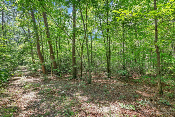 0000 WHITE PINES TRACE, MILL SPRING, NC 28756, photo 4 of 14