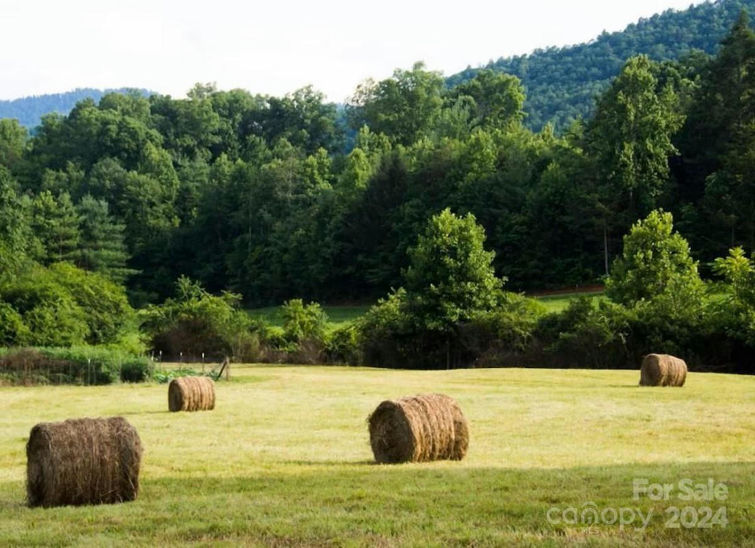 8391 SUGAR HILL RD, MARION, NC 28752, photo 1 of 48