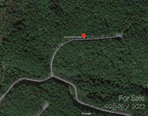 LOT 123 HORSE PASTURE RIDGE, BLACK MOUNTAIN, NC 28711, photo 2 of 3