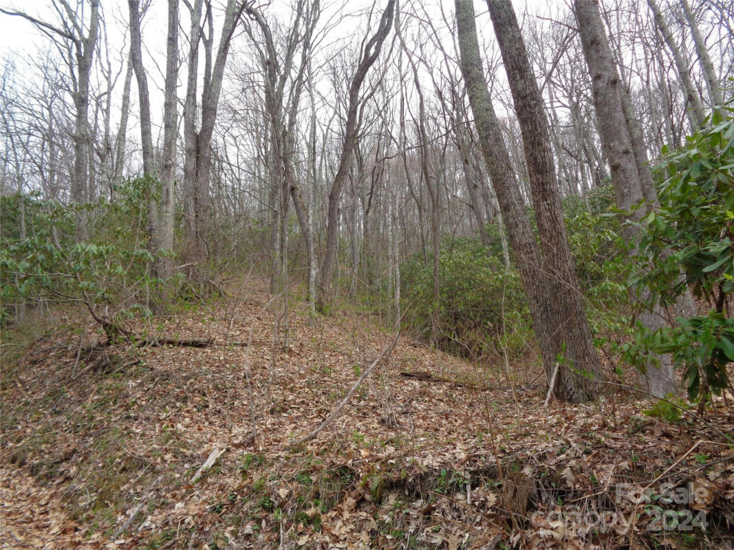 00 BENT TREE ROAD, MAGGIE VALLEY, NC 28751, photo 1 of 22