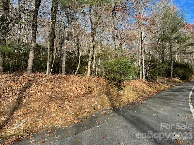 TBD ECHOTA LANE, BREVARD, NC 28712, photo 1 of 2