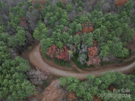 LOT 12 WILDLIFE DRIVE, CLYDE, NC 28721 - Image 1