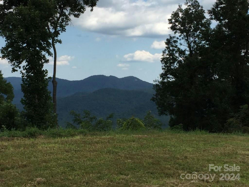 488 WARBLER LN # H-13, BLACK MOUNTAIN, NC 28711, photo 1 of 6