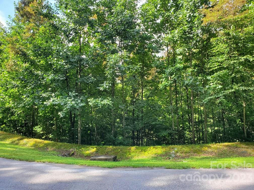 LOT 37 MOUNTAIN MORNING LANE, HENDERSONVILLE, NC 28739, photo 1 of 4