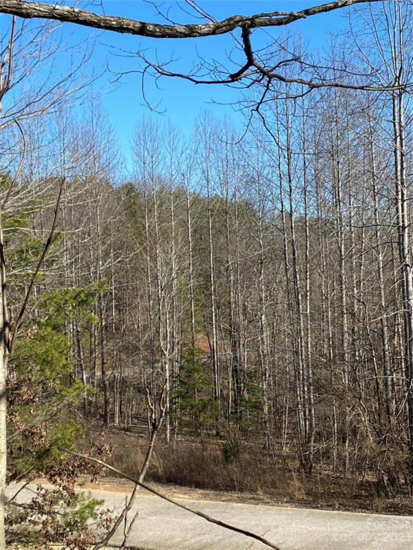LOT 60 CLEAR SPRING TRAIL # 60, NEBO, NC 28761, photo 1 of 15